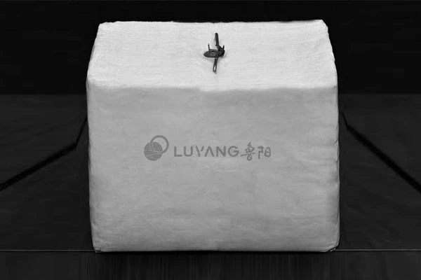 威盾®陶瓷纤维整体模块 图